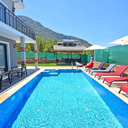 Kozalak 1 Φετιγιέ